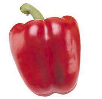 Najlepsza dieta