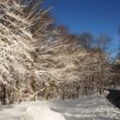 aktywność słoneczna i temperatury arktyczne