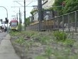 Za jazdę autem i parkowanie w lesie grozi kara