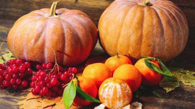 4Faces_Mat. prasowy (2)